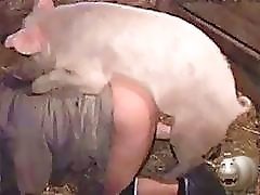 Extreme fat girl gets big cock banged